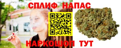 PSILOCYBIN Изобильный