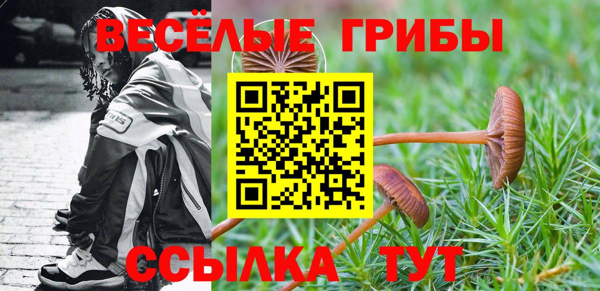 Галлюциногенные грибы GOLDEN TEACHER  Псилоцибиновые грибы мухоморы  Крымск  Вход с VPN 